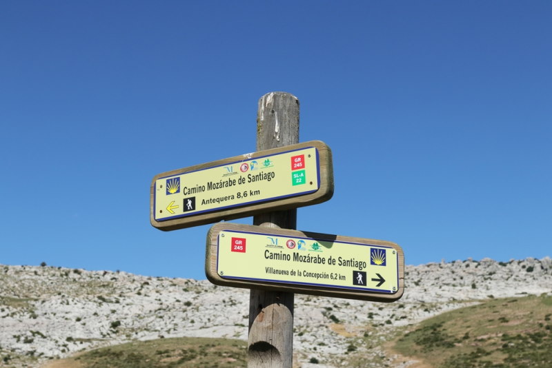 El Camino de Santiago