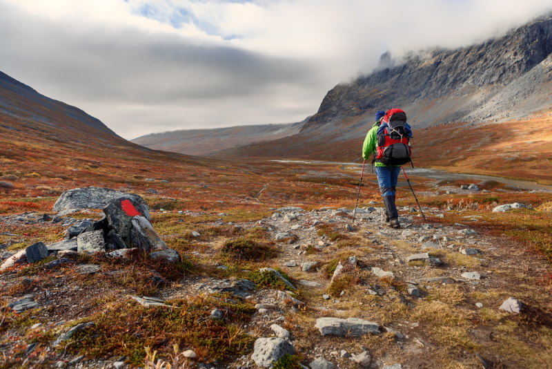 Kungsleden