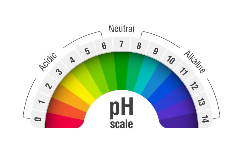 alkaline