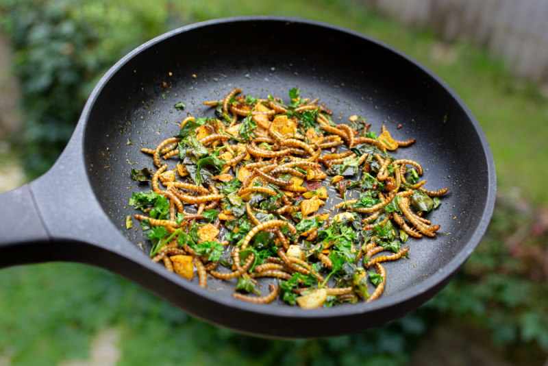 meelworm als eten voor mensen