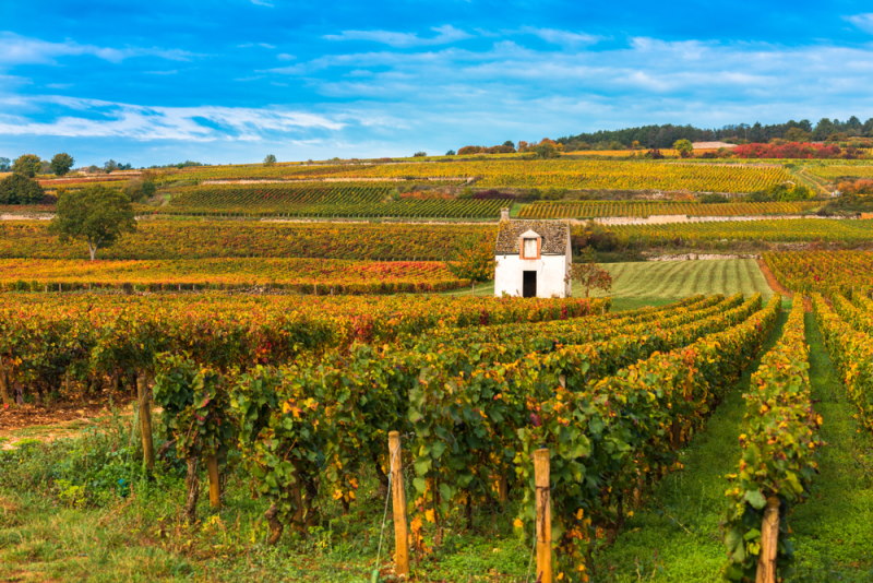 Bourgogne