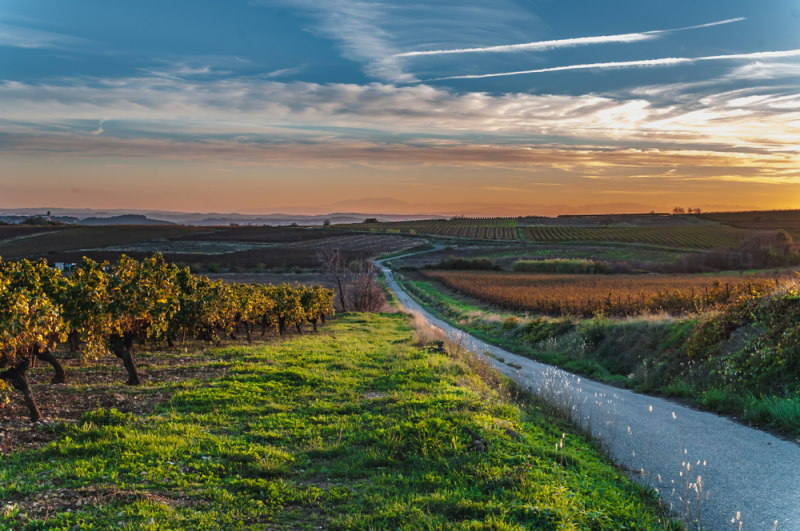 Languedoc