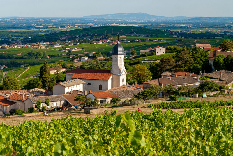 Rhônevallei
