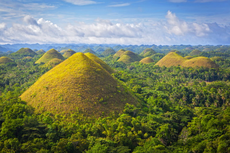 Bohol