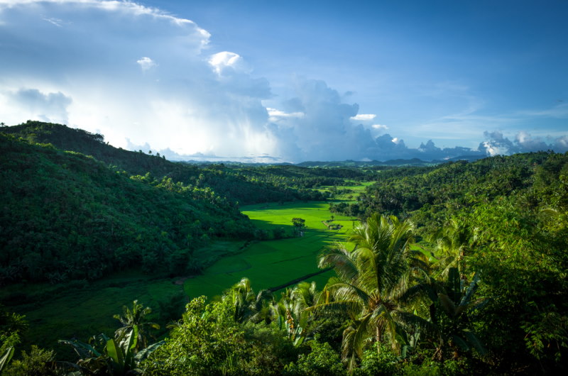 Panay
