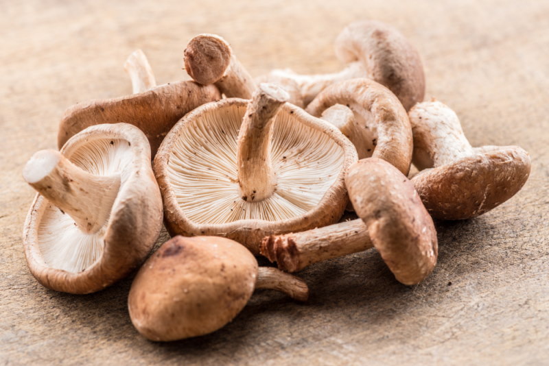 Shiitake