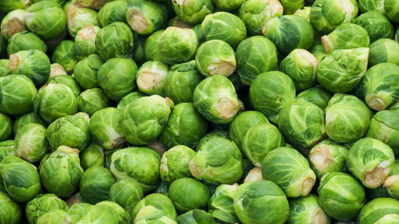 Spruitjes (2)
