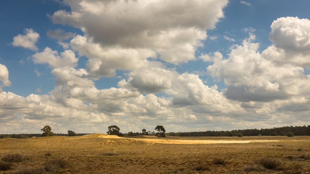 Marskramerpad