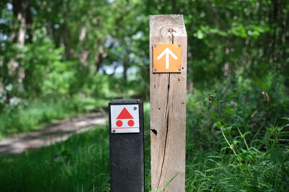 mountain bike routes in nederland