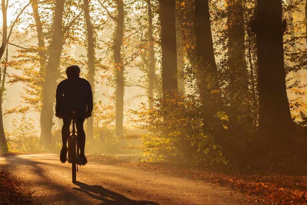 mountainbike routes in nederland 2 mountainbike routes in nederland 2