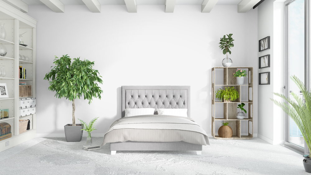 planten in slaapkamer