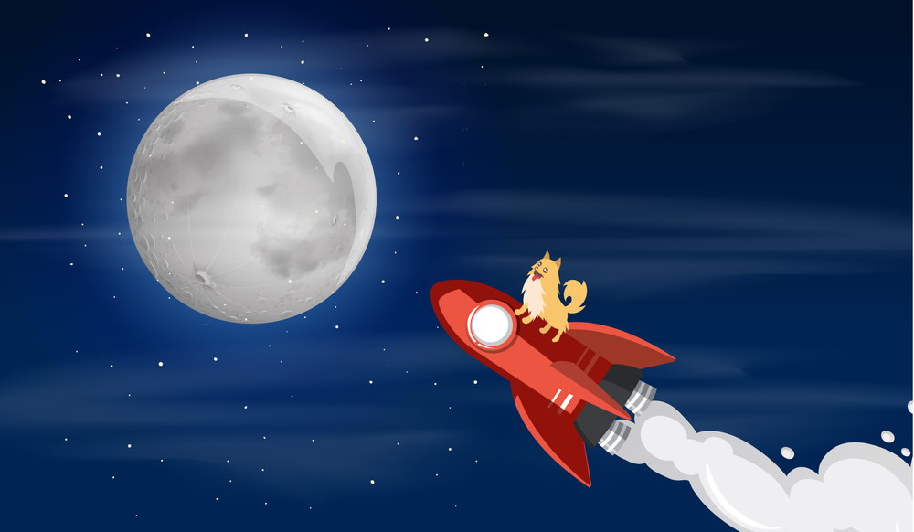 to the moon