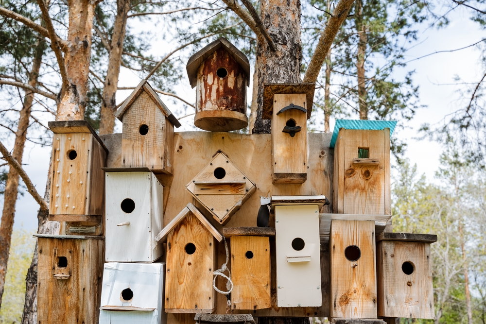 vogelhuisje vogelhuisje
