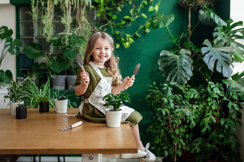 niet giftige planten