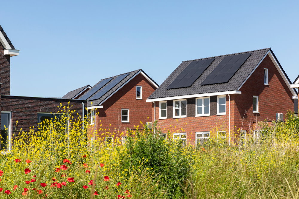zonnepanelen