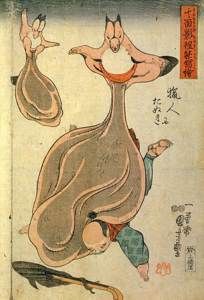 Kagee tanuki 2