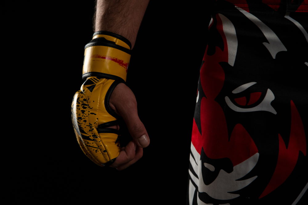 Top 10 Beste MMA-vechters aller tijden mma