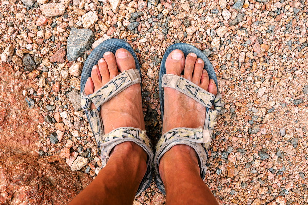 teva
