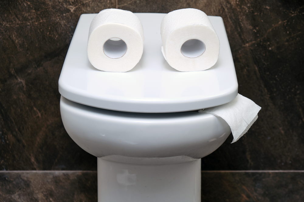 toilet dag