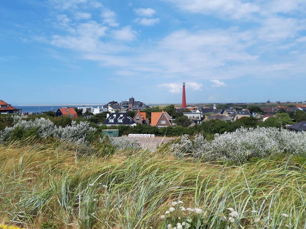 cultuur cultuur