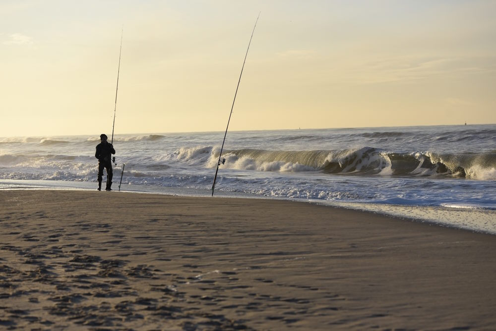 vissen aan zee vissen aan zee
