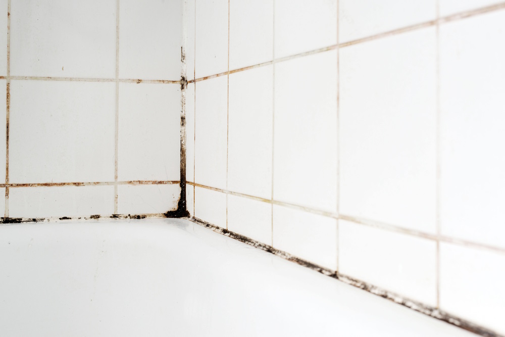 schimmel in huis schimmel in huis