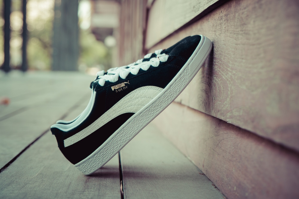 puma 2