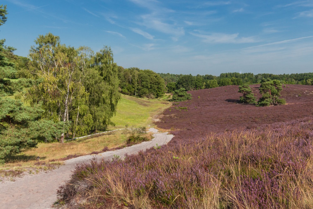 Brunssummerheide Brunssummerheide