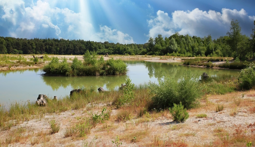 Maasduinen Maasduinen