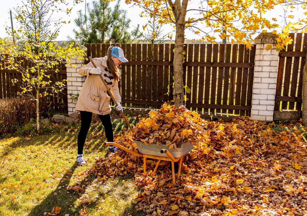 Top 10 manieren om je tuin in het najaar te onderhouden herfst tuin