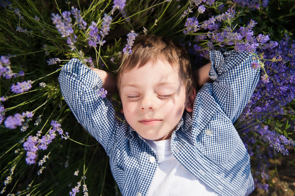 kindvriendelijke planten
