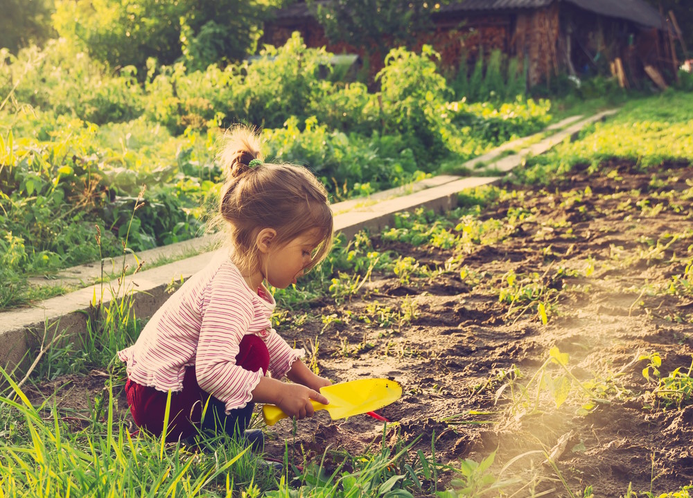 kindvriendelijke tuin