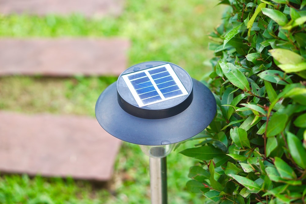 zonnelampjes zonnelampjes