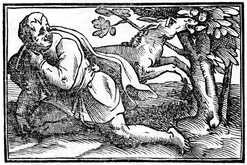 Chrysippus
