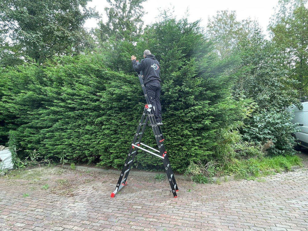 Reformladder Alga werken in de Tuin 3