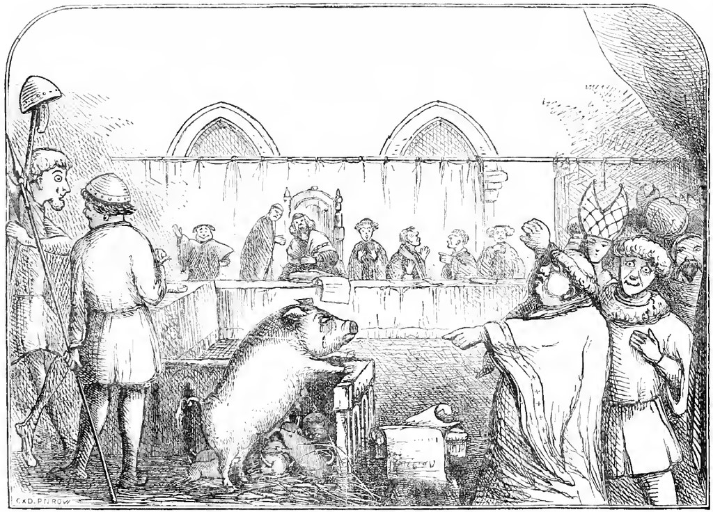 dierenprocessen