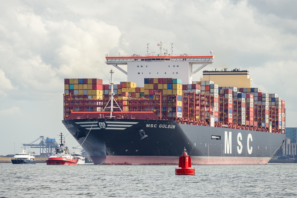 msc msc