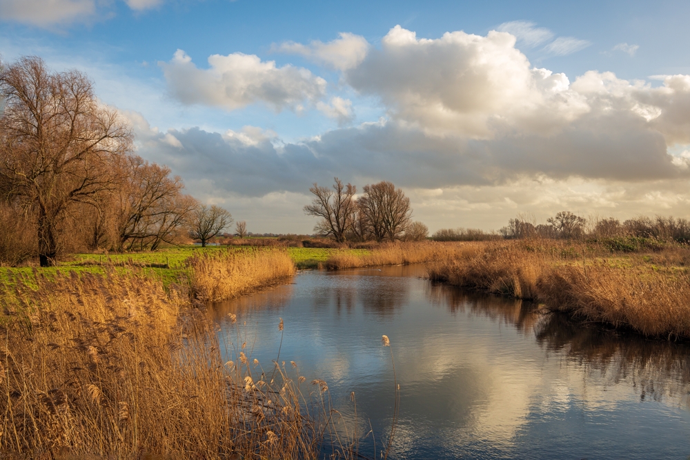 Biesbosch Biesbosch