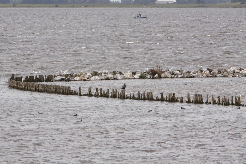 Lauwersmeer Lauwersmeer