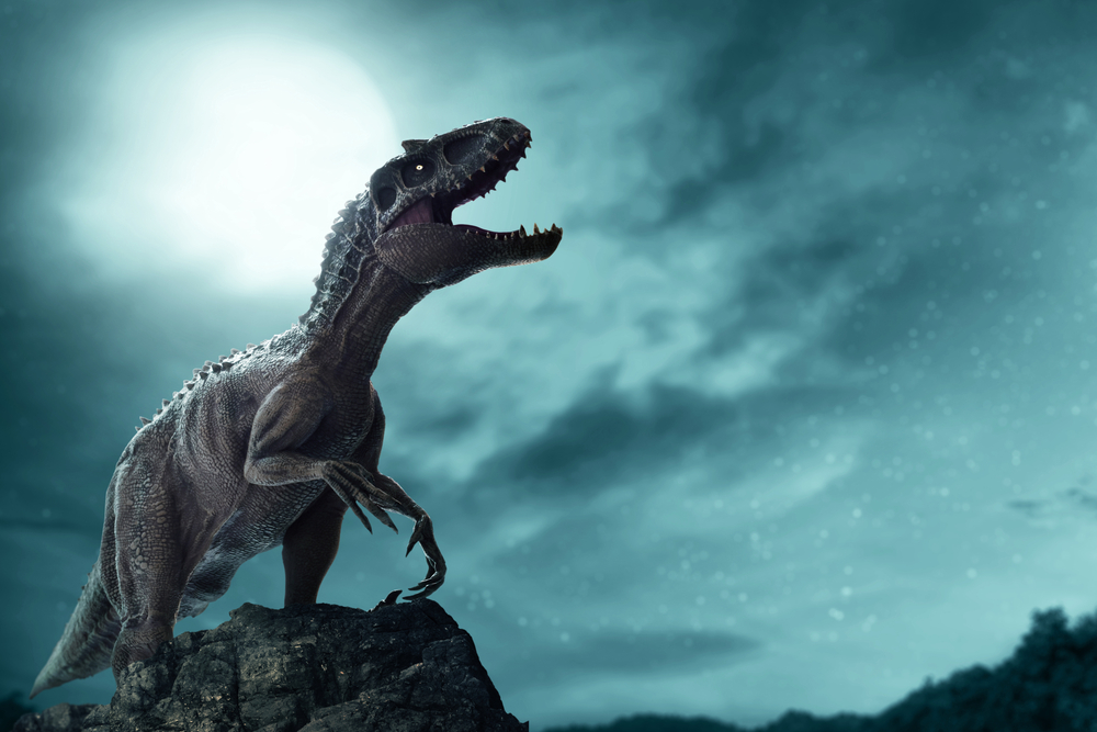 dino weetjes