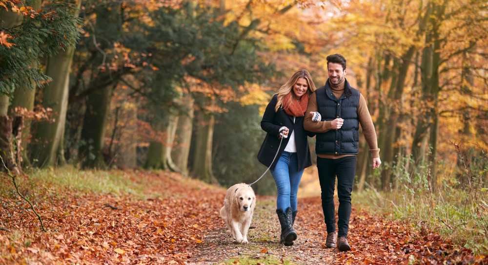 wandelen