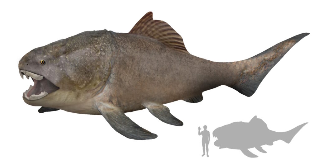Dunkleosteus