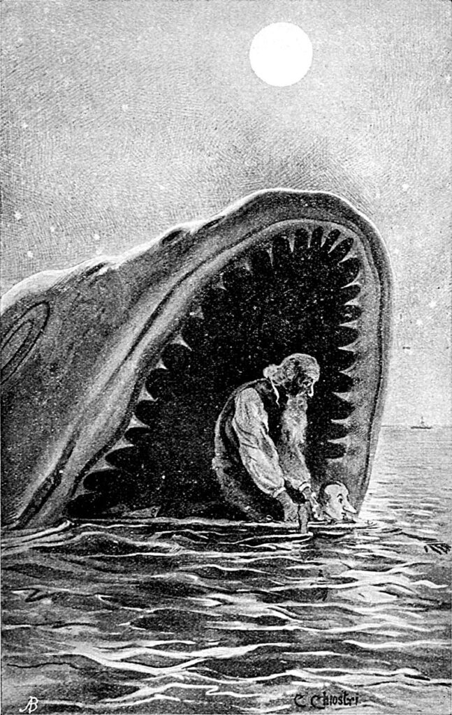 Il Terribile Pescecane Il Terribile Pescecane