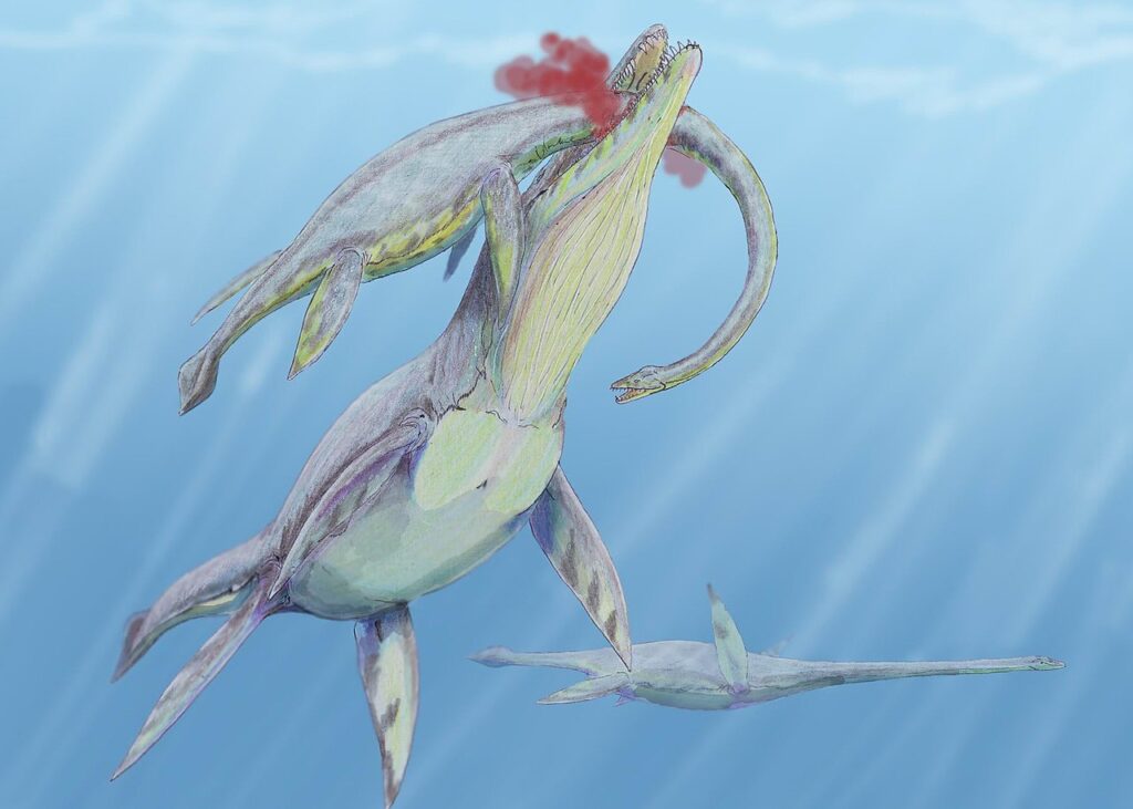Kronosaurus