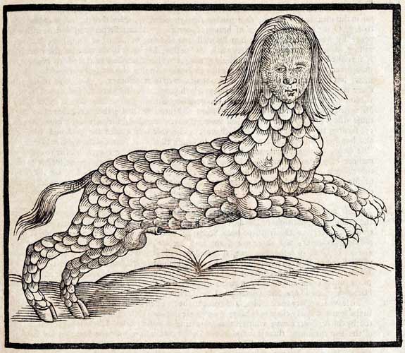 Lamia Lamia