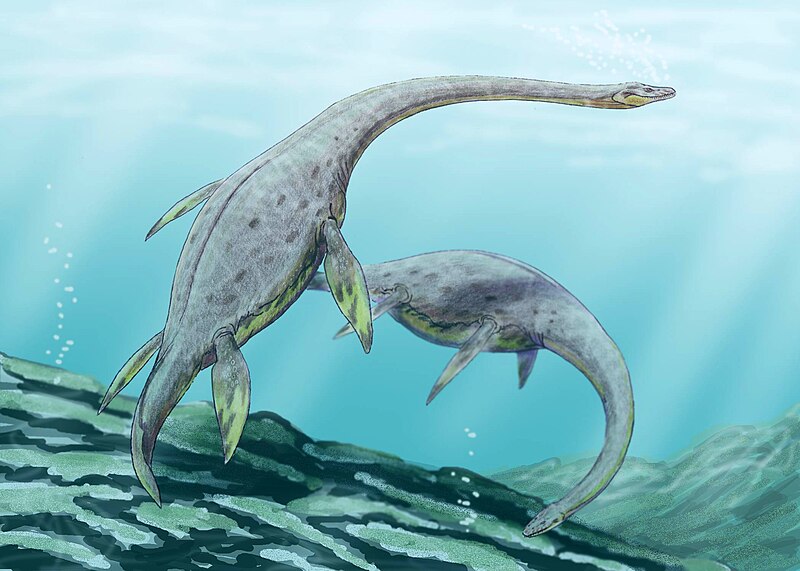 Mauisaurus