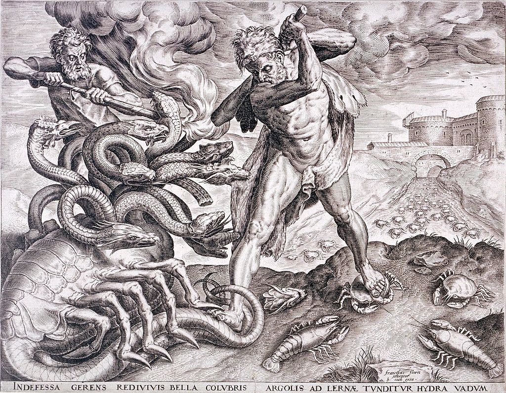 hydra