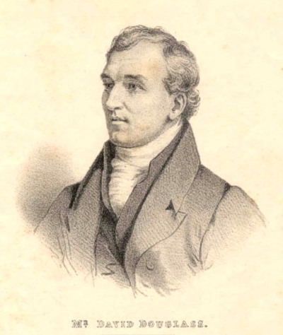 David Douglas David Douglas