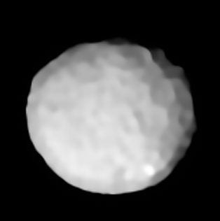 pallas