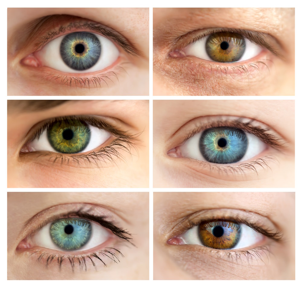 iris